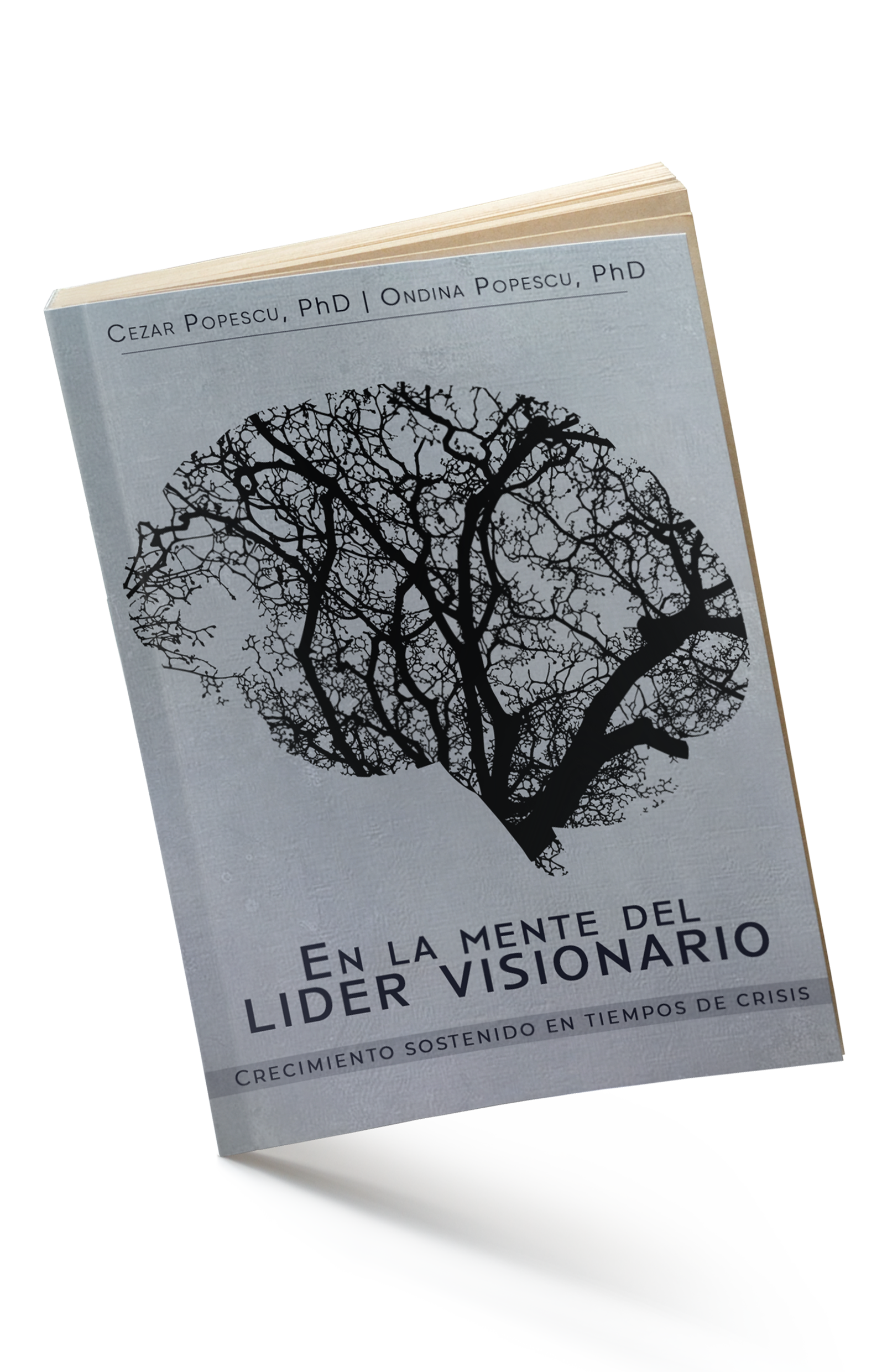 En la mente del líder visionario